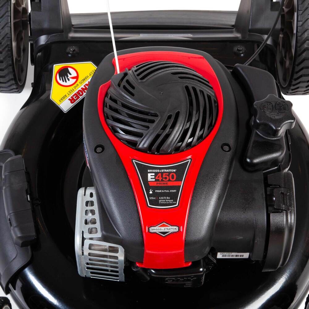 Briggs and stratton online 450 series fuel type